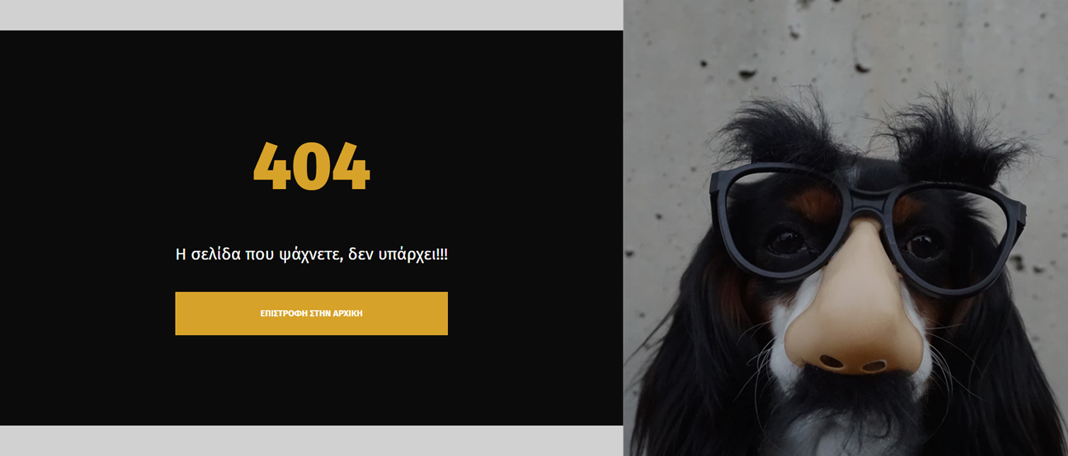 Blink Optics 404 design
